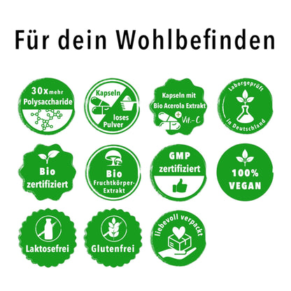 Bio Vitalpilz Mischung "Seelenstark" - Onlinepilze