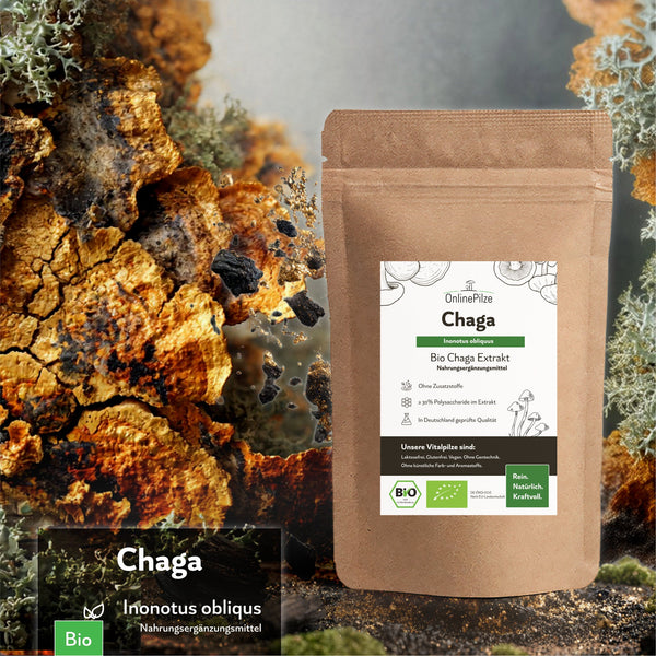 "Chaga" Bio Vitalpilz Extrakt – Wohlbefinden & Kraft der Natur - OnlinePilze