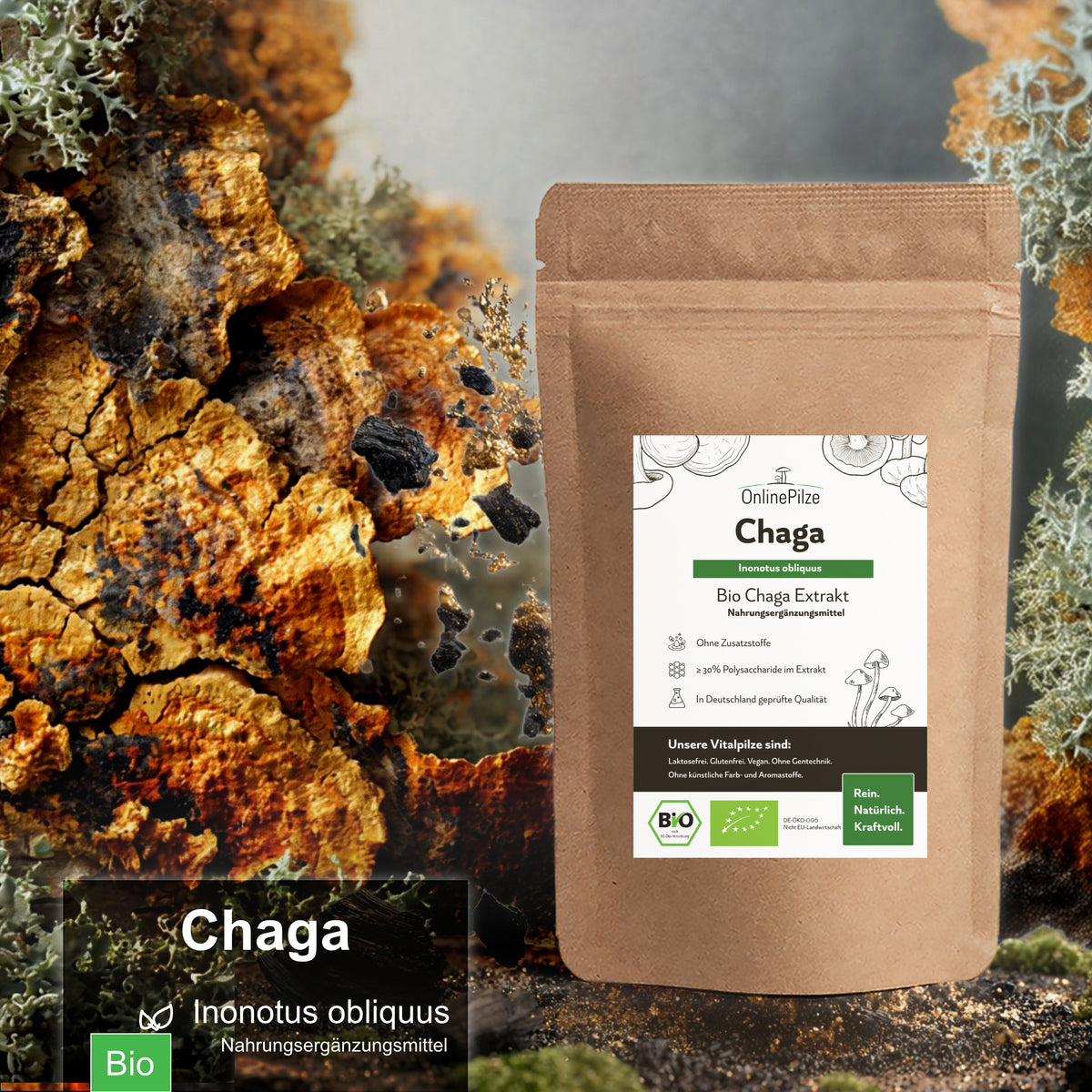 Chaga - Bio Vitalpilz-Extrakt Kapseln & Pulver (Inonotus obliquus)