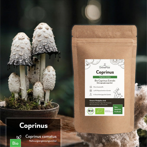 "Coprinus" Bio Vitalpilz Extrakt – Wohlbefinden & Ernährung - OnlinePilze
