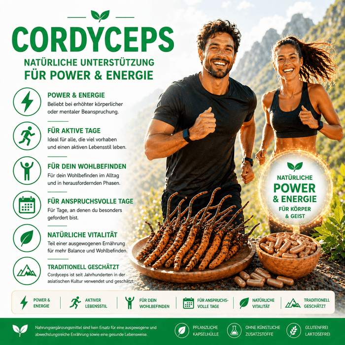 "Cordyceps" Bio Vitalpilz Extrakt – Power & Alltag - OnlinePilze