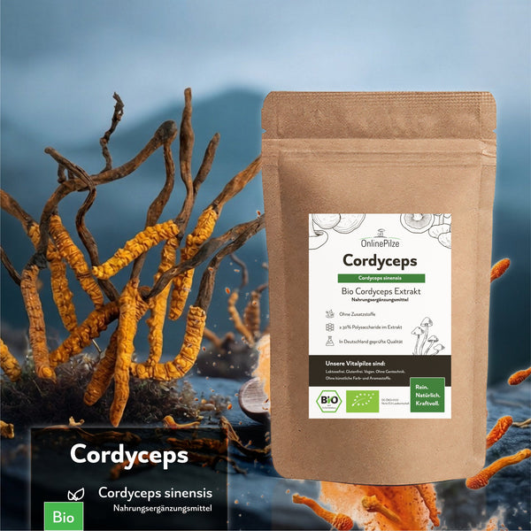 "Cordyceps" Bio Vitalpilz Extrakt – Power & Alltag - OnlinePilze