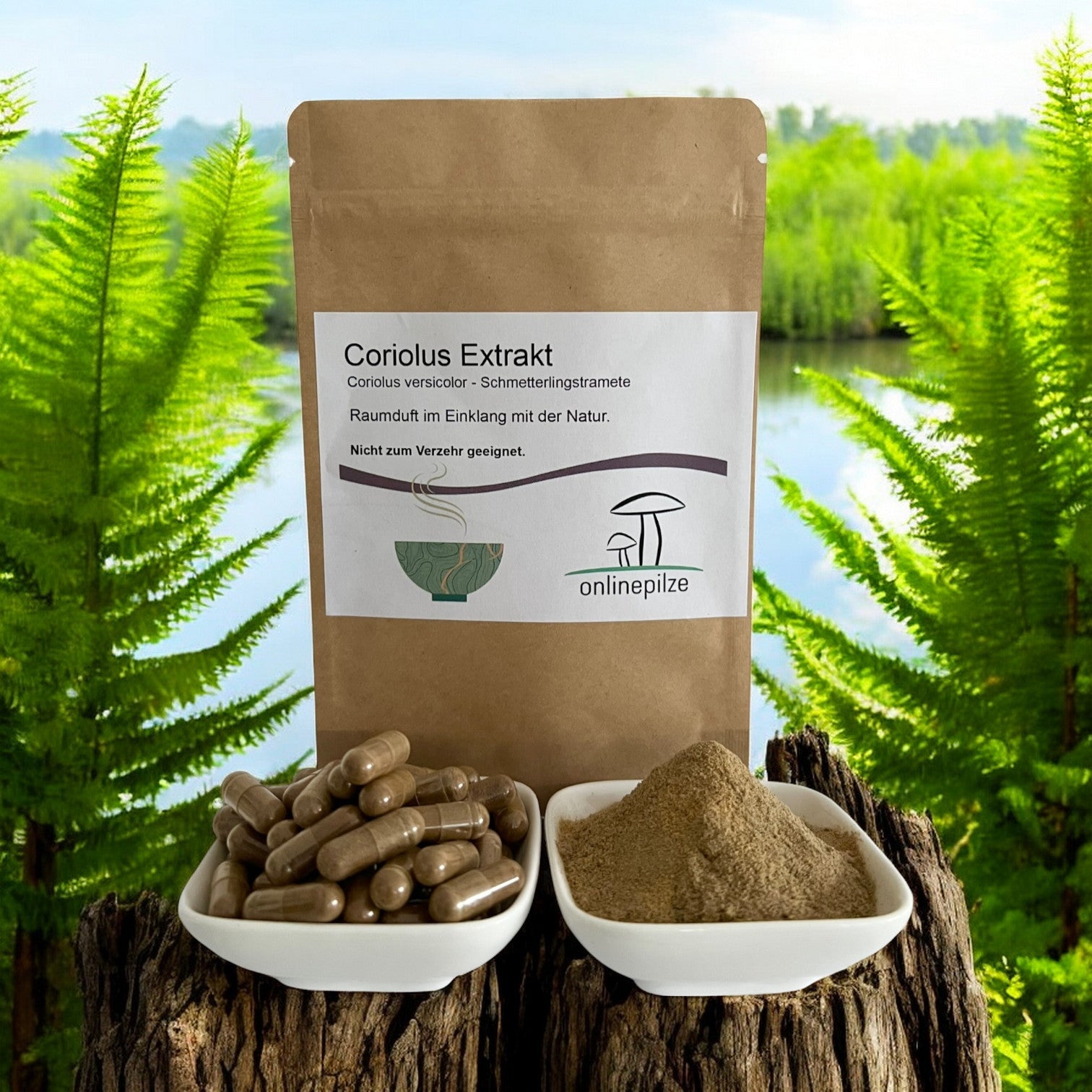 Coriolus Raumduft - Onlinepilze