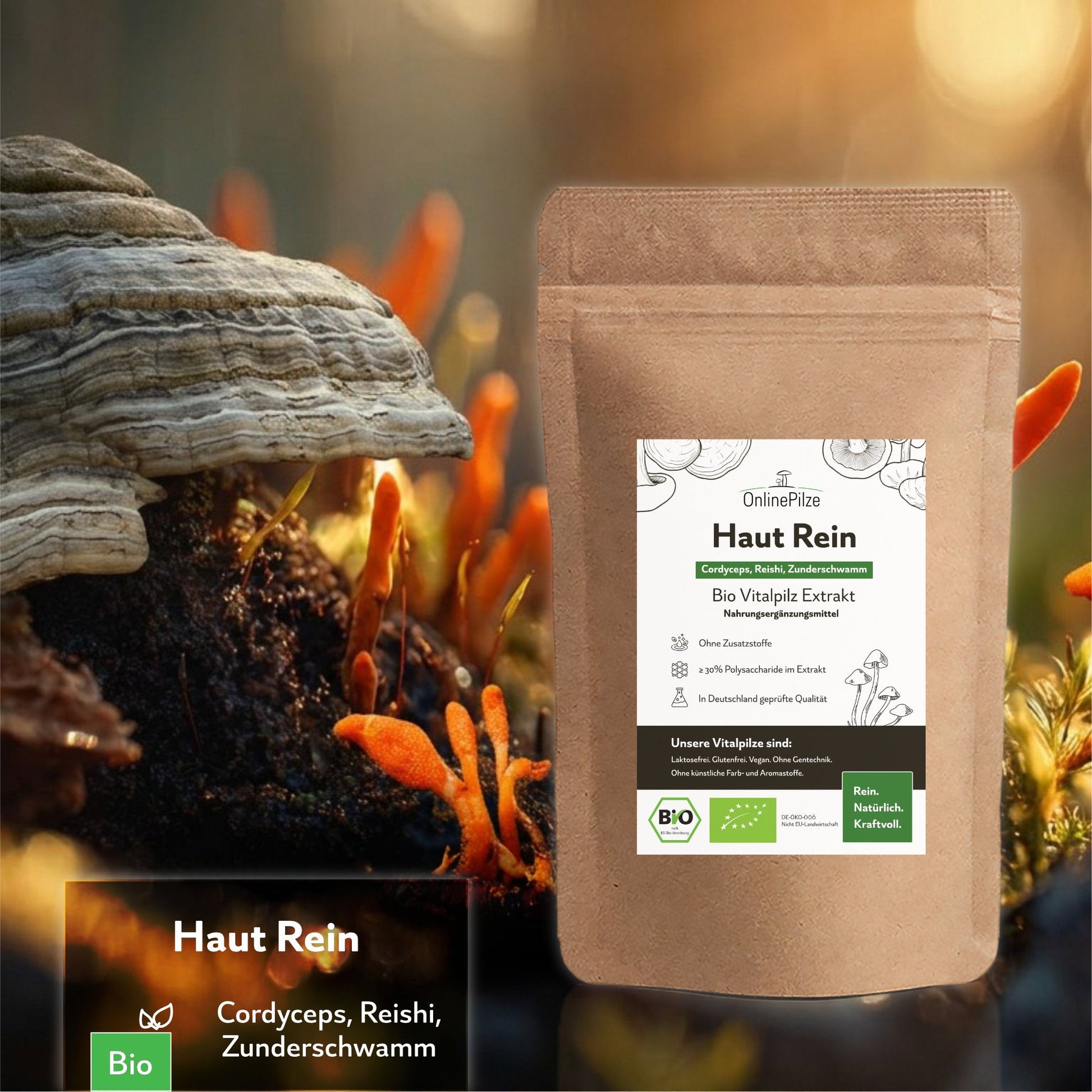 "Haut Rein" Bio Vitalpilz - Extrakt | Reines Hautgefühl - Onlinepilze