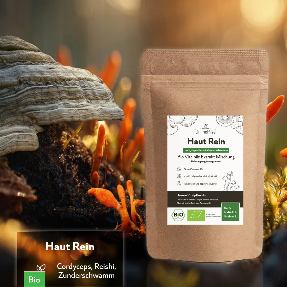 Haut Rein - Bio Vitalpilz-Extrakt Kapseln & Pulver