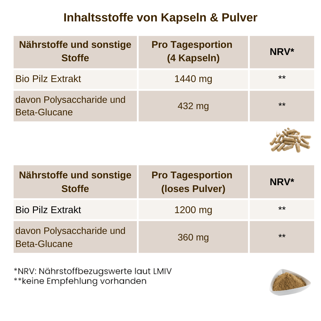Individuelle Bio Vitalpilz Extrakt Mischung - Onlinepilze