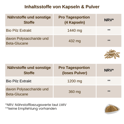 Individuelle Bio Vitalpilz Extrakt Mischung - Onlinepilze
