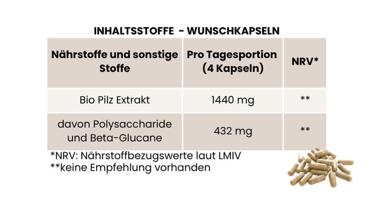 Individuelle Vitalpilz Extrakt Mischung - Onlinepilze