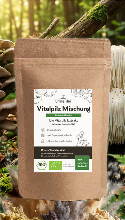 "Individuelle" Vitalpilz Mischung – Bio Extrakte nach deinem Bedarf - Onlinepilze