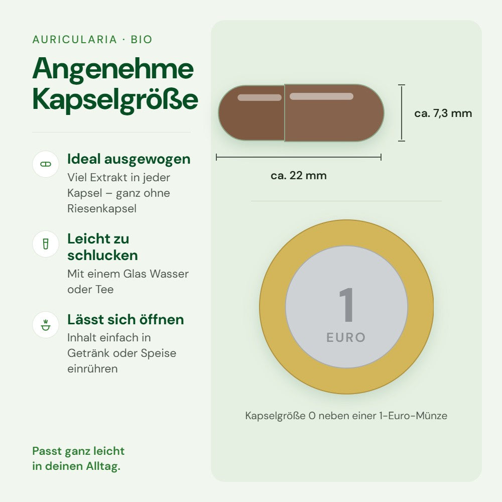 Kapselgröße 0 von Auricularia im Größenvergleich mit einer 1-Euro-Münze