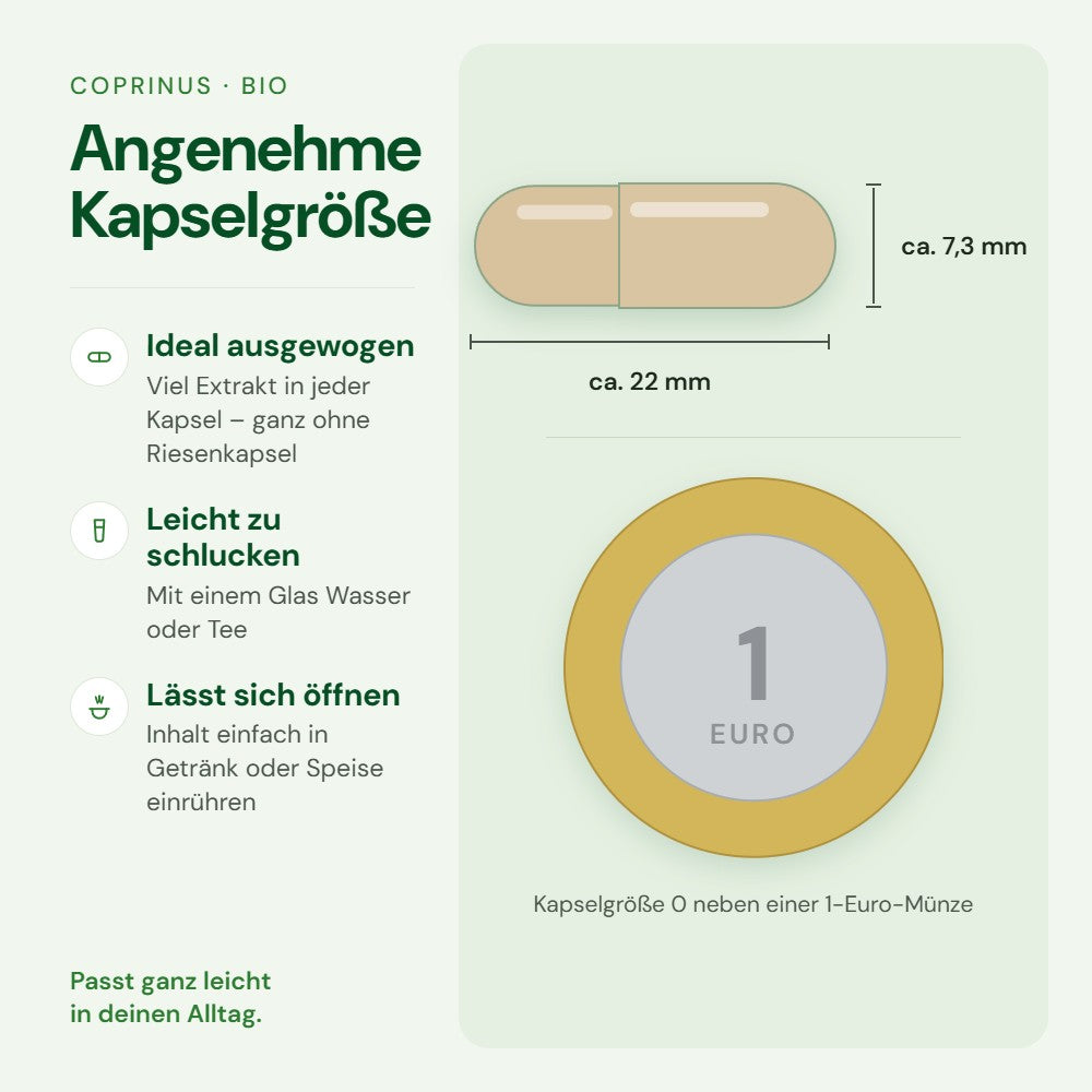 Kapselgröße 0 von Coprinus im Größenvergleich mit einer 1-Euro-Münze