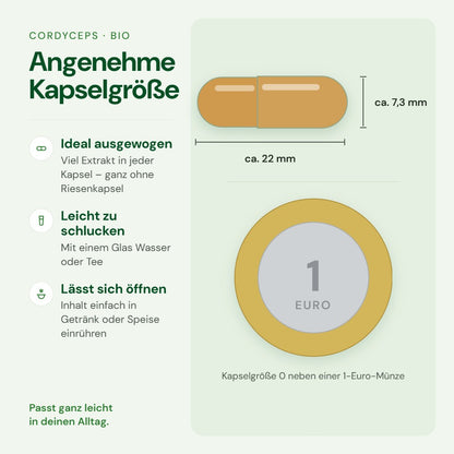 Kapselgröße 0 von Cordyceps im Größenvergleich mit einer 1-Euro-Münze