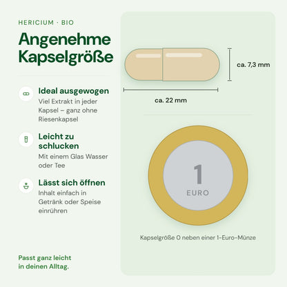 Kapselgröße 0 von Hericium im Größenvergleich mit einer 1-Euro-Münze