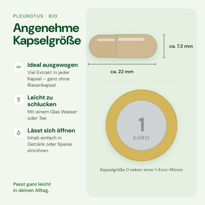 Kapselgröße 0 von Pleurotus im Größenvergleich mit einer 1-Euro-Münze