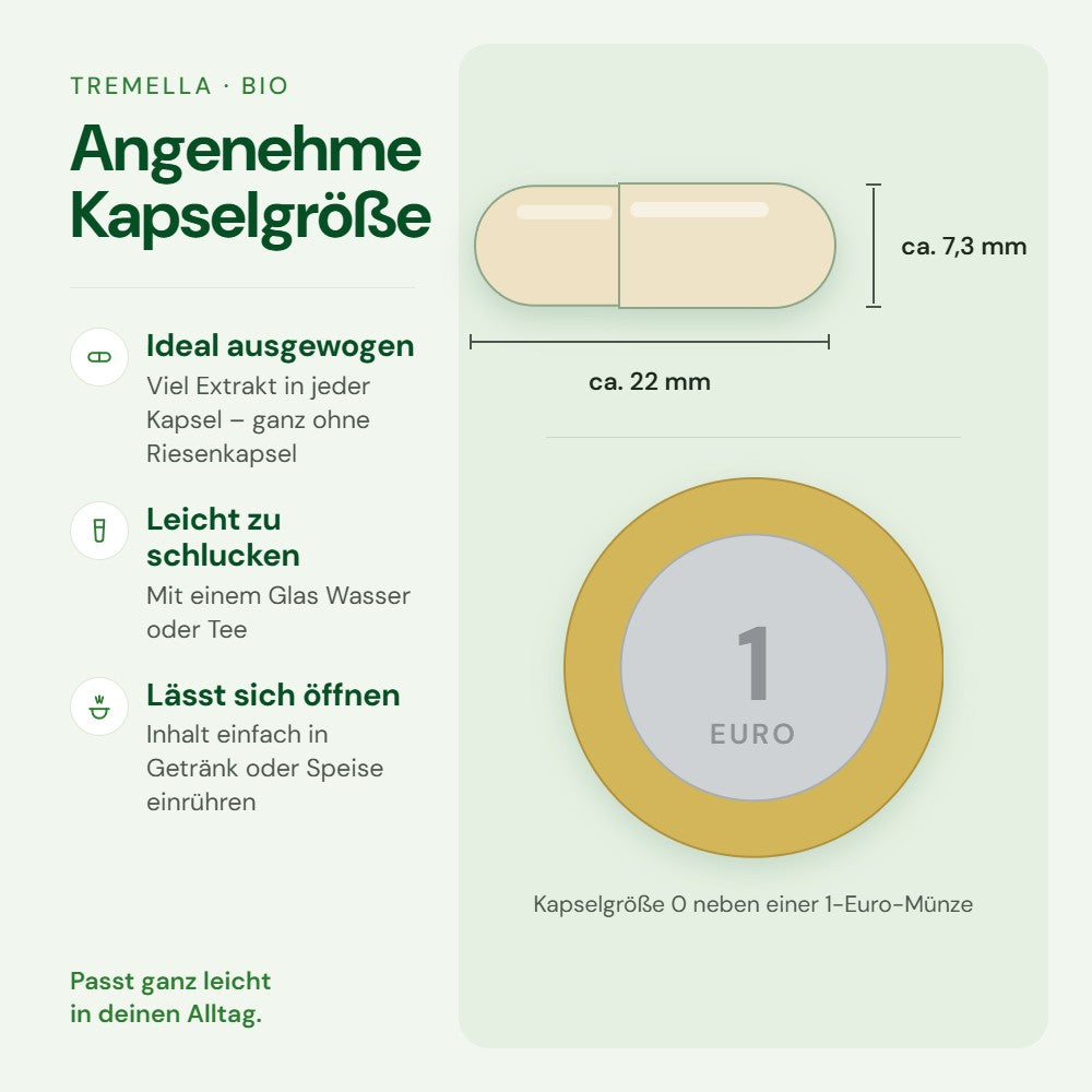 Kapselgröße 0 von Tremella im Größenvergleich mit einer 1-Euro-Münze