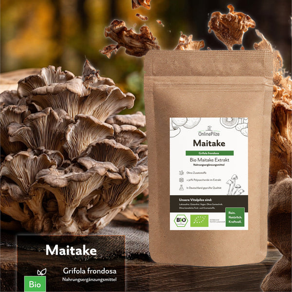 "Maitake" Bio Vitalpilz Extrakt – Gleichgewicht & Wohlbefinden - OnlinePilze