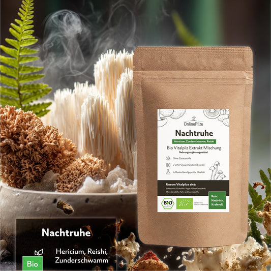 "Nachtruhe" Bio Vitalpilz - Extrakt | Balance am Abend - Onlinepilze