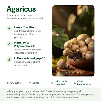 Agaricus: Herkunft, Polysaccharide und Qualität auf einen Blick