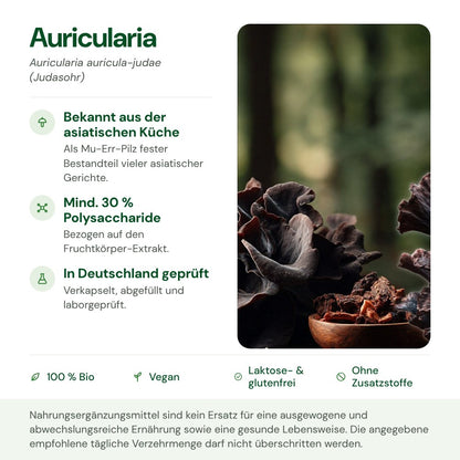 Auricularia: Herkunft, Polysaccharide und Qualität auf einen Blick