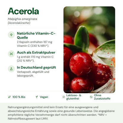 Bio Acerola-Extrakt: Herkunft, Polysaccharide und Qualität auf einen Blick