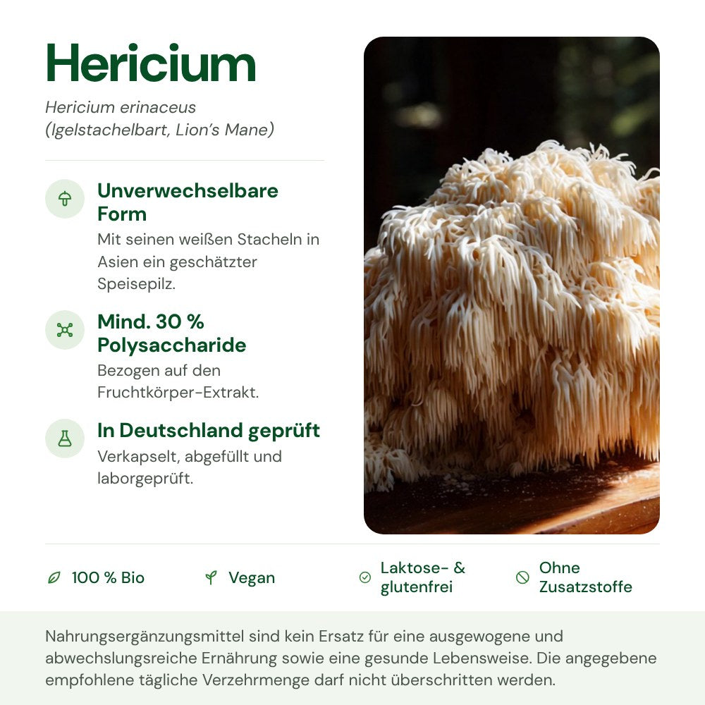 Hericium: Herkunft, Polysaccharide und Qualität auf einen Blick