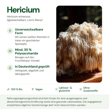 Hericium: Herkunft, Polysaccharide und Qualität auf einen Blick