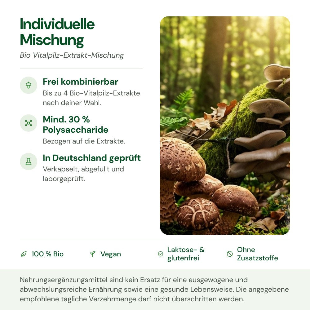 Individuelle Vitalpilz-Mischung: Herkunft, Polysaccharide und Qualität auf einen Blick