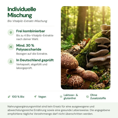 Individuelle Vitalpilz-Mischung: Herkunft, Polysaccharide und Qualität auf einen Blick