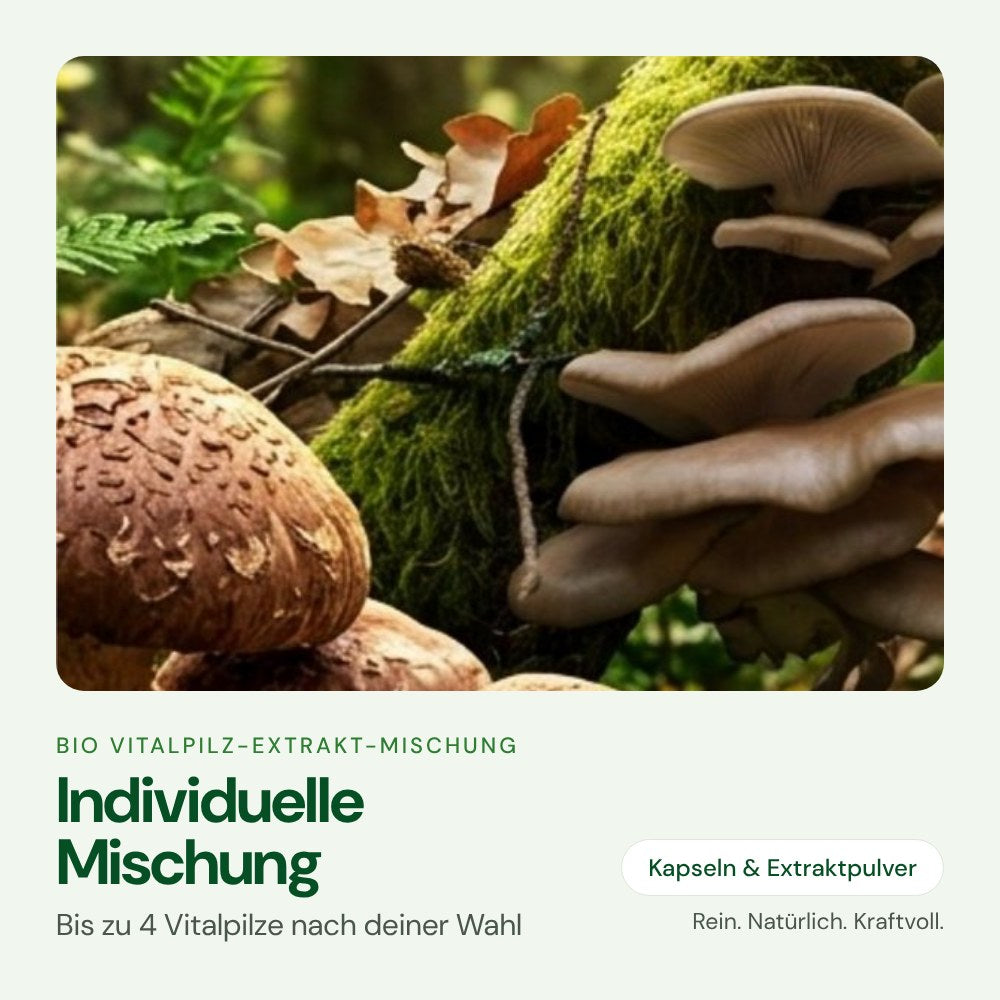 Individuelle Vitalpilz-Mischung – Bio Vitalpilz-Extrakt von OnlinePilze