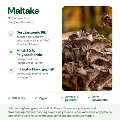 Maitake: Herkunft, Polysaccharide und Qualität auf einen Blick