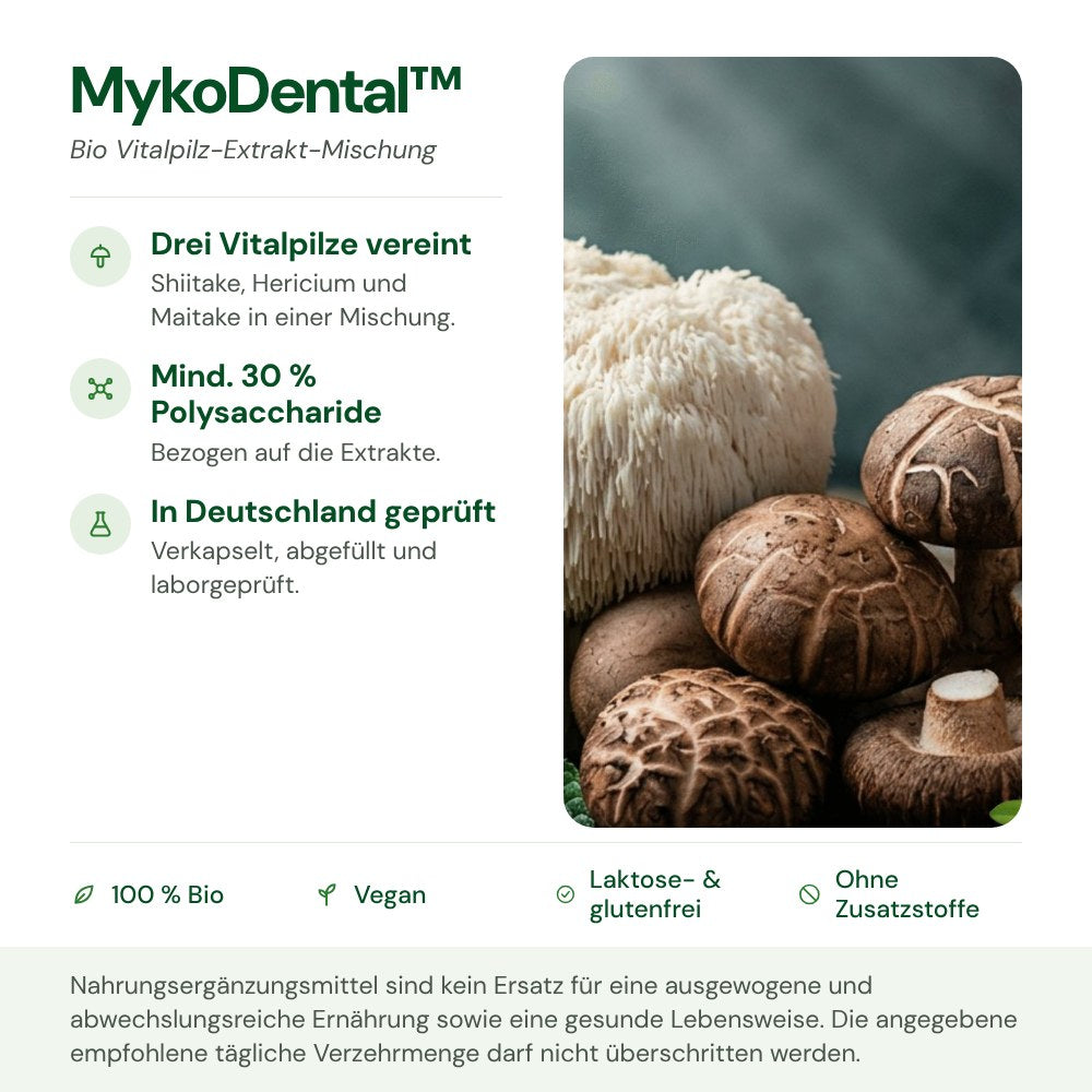 MykoDental™: Herkunft, Polysaccharide und Qualität auf einen Blick