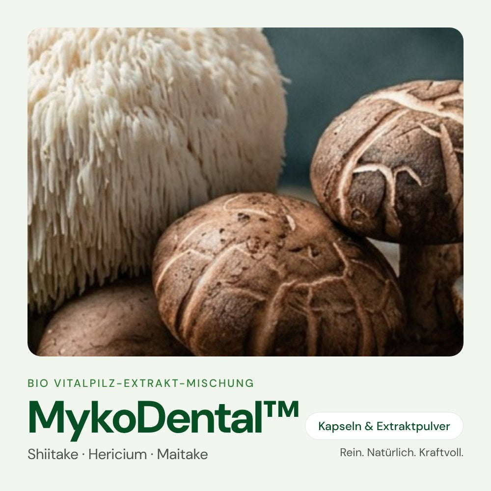 MykoDental™ – Bio Vitalpilz-Extrakt von OnlinePilze