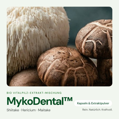 MykoDental™ – Bio Vitalpilz-Extrakt von OnlinePilze