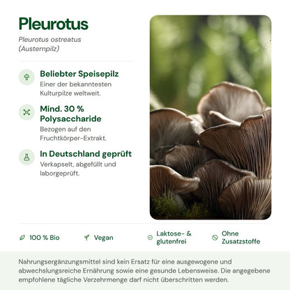 Pleurotus: Herkunft, Polysaccharide und Qualität auf einen Blick