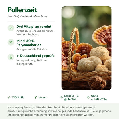 Pollenzeit: Herkunft, Polysaccharide und Qualität auf einen Blick
