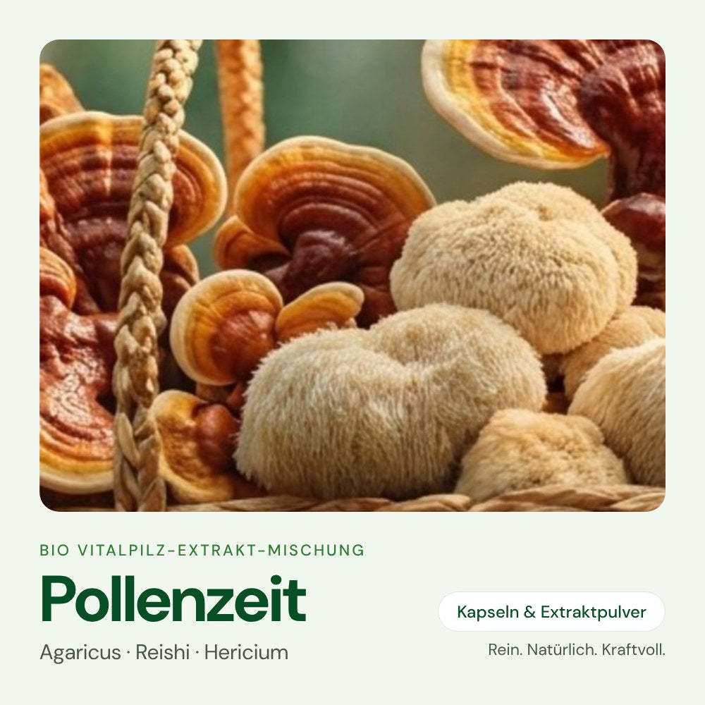 Pollenzeit – Bio Vitalpilz-Extrakt von OnlinePilze