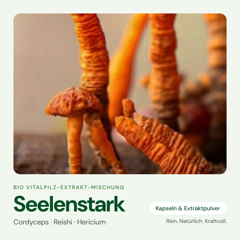 Seelenstark – Bio Vitalpilz-Extrakt von OnlinePilze