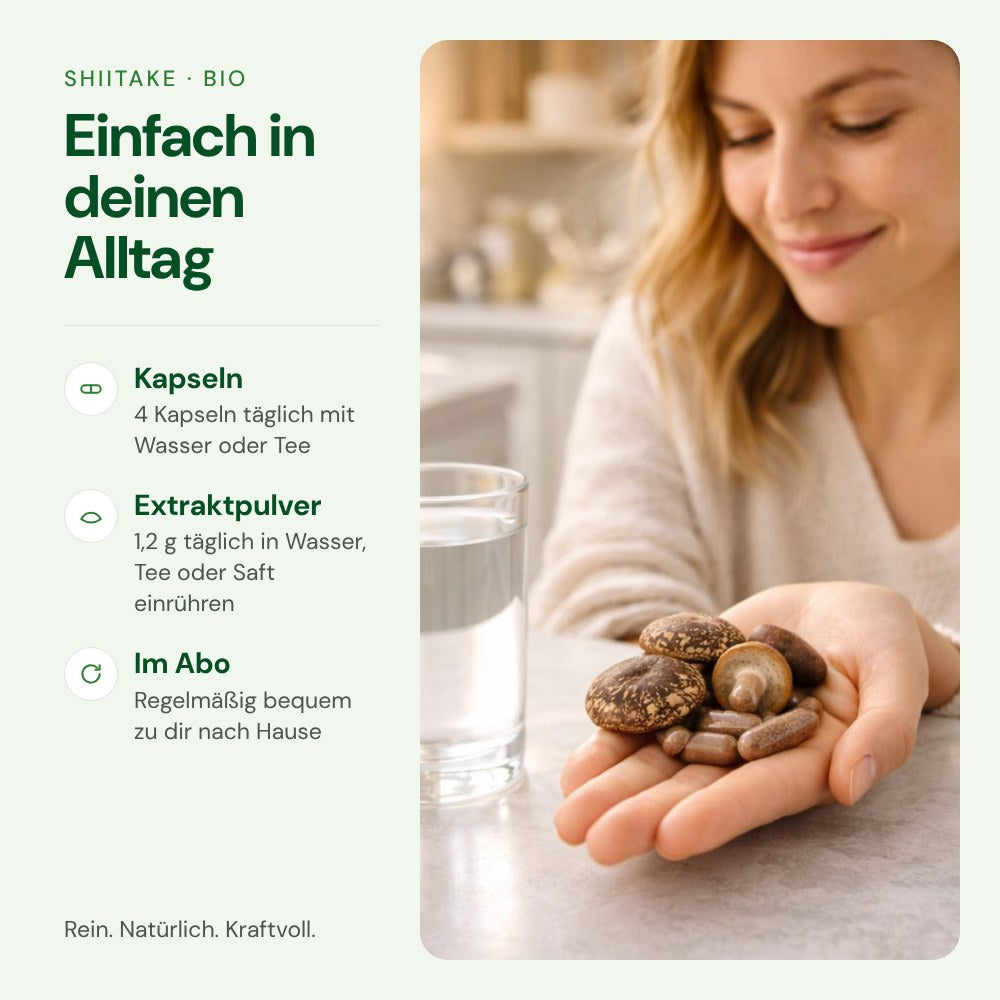 Shiitake einfach im Alltag einnehmen – Kapseln oder Extraktpulver