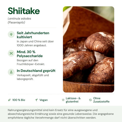 Shiitake: Herkunft, Polysaccharide und Qualität auf einen Blick