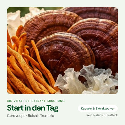 Start in den Tag – Bio Vitalpilz-Extrakt von OnlinePilze