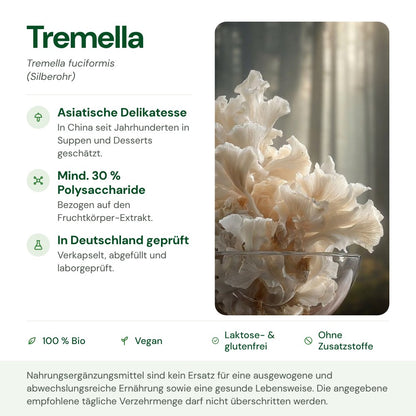 Tremella: Herkunft, Polysaccharide und Qualität auf einen Blick