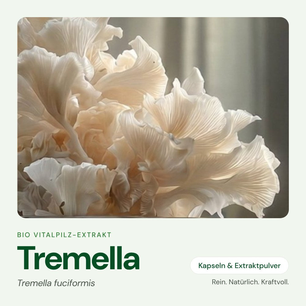 Tremella – Bio Vitalpilz-Extrakt von OnlinePilze