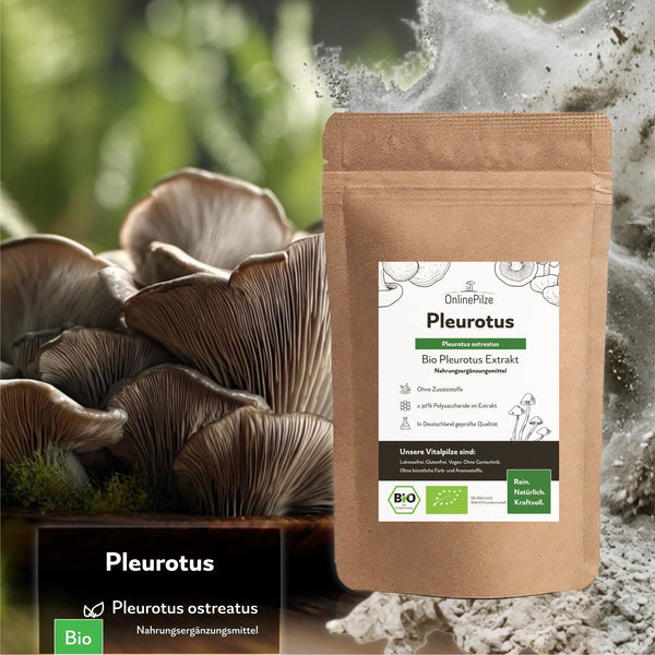 "Pleurotus" Bio Vitalpilz Extrakt – Balance & Leichtigkeit - OnlinePilze