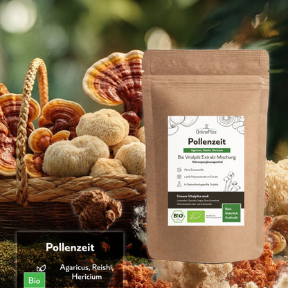 Pollenzeit - Bio Vitalpilz-Extrakt Kapseln & Pulver