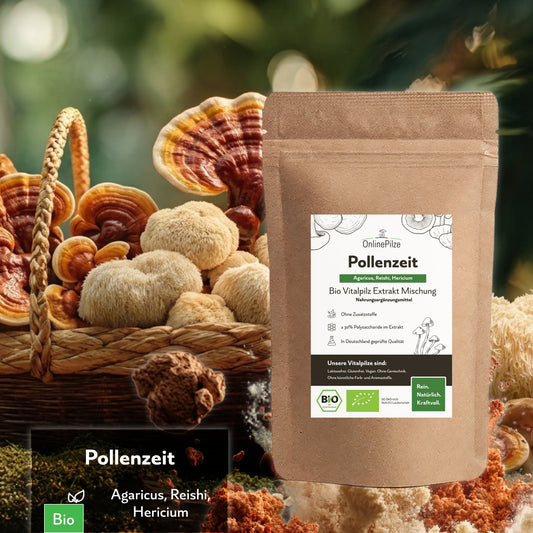 Pollenzeit - Bio Vitalpilz-Extrakt Kapseln & Pulver