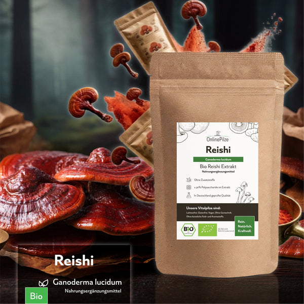"Reishi" Bio Vitalpilz Extrakt – Ruhe & Balance - OnlinePilze
