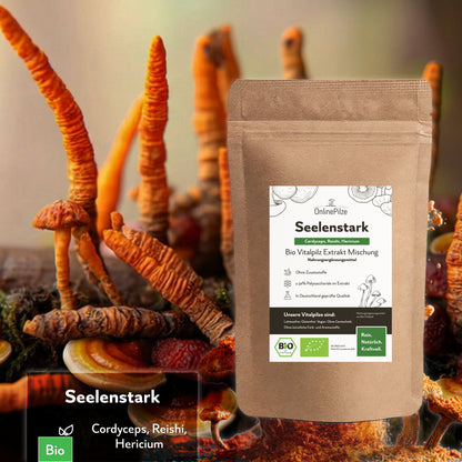 Seelenstark - Bio Vitalpilz-Extrakt Kapseln & Pulver