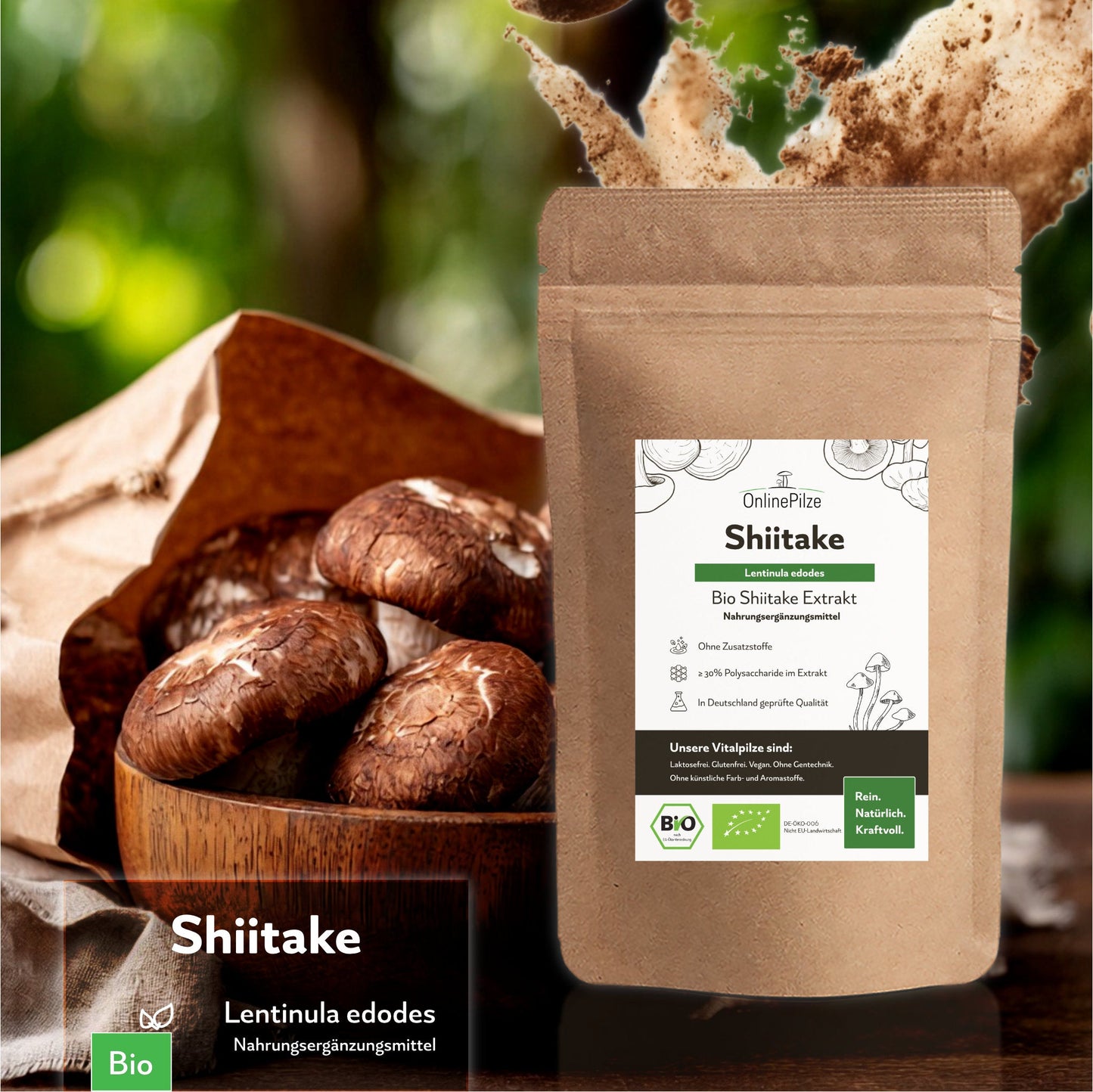 "Shiitake" Bio Vitalpilz Extrakt – Gleichgewicht - Onlinepilze