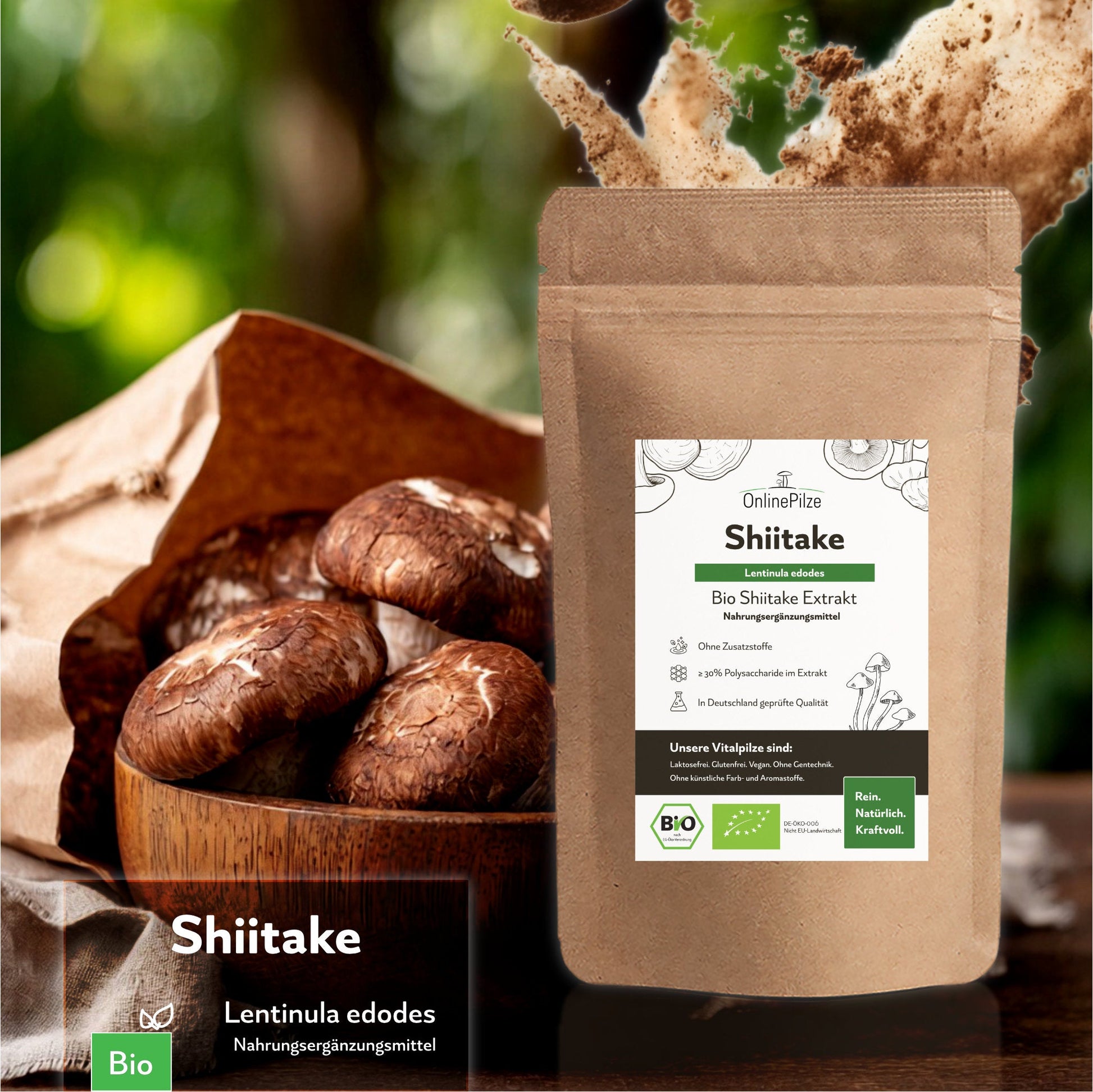 "Shiitake" Bio Vitalpilz Extrakt – Gleichgewicht - Onlinepilze