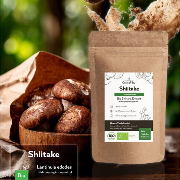 "Shiitake" Bio Vitalpilz Extrakt – Gleichgewicht - OnlinePilze